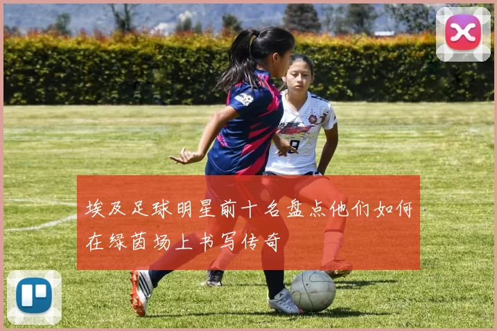 埃及足球明星前十名盘点他们如何在绿茵场上书写传奇