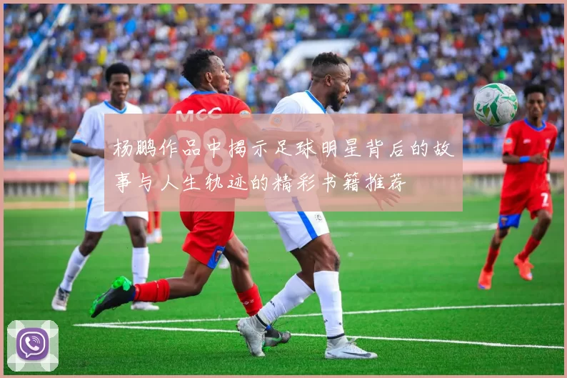 杨鹏作品中揭示足球明星背后的故事与人生轨迹的精彩书籍推荐