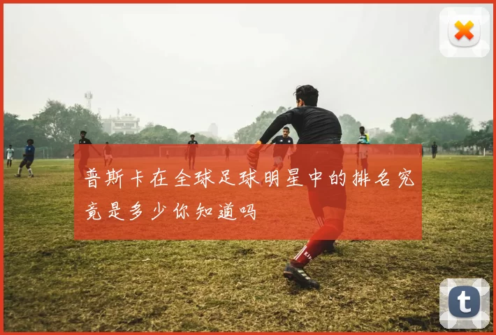 普斯卡在全球足球明星中的排名究竟是多少你知道吗