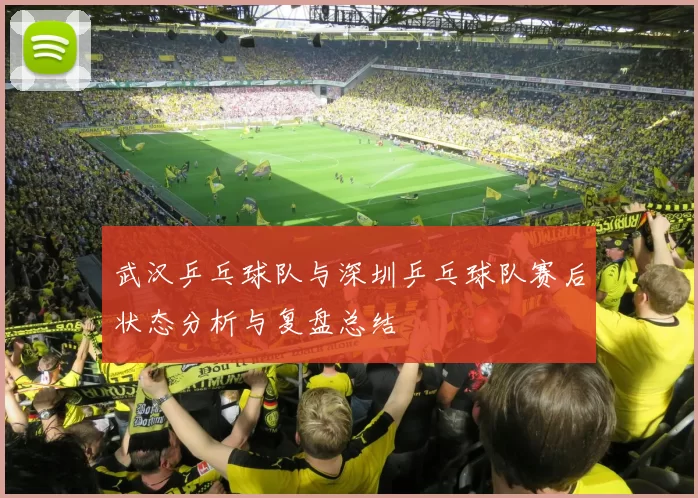 武汉乒乓球队与深圳乒乓球队赛后状态分析与复盘总结