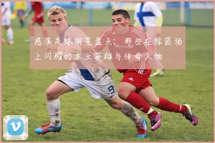 慈溪足球明星盘点：那些在绿茵场上闪耀的本土英雄与传奇人物
