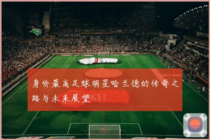 身价最高足球明星哈兰德的传奇之路与未来展望