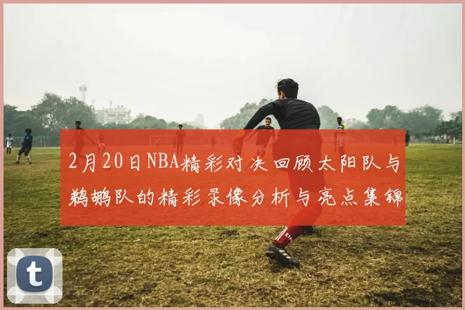 2月20日NBA精彩对决回顾太阳队与鹈鹕队的精彩录像分析与亮点集锦