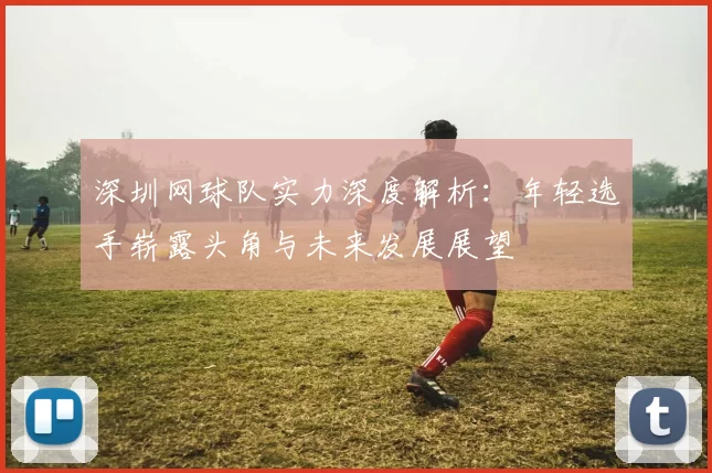 深圳网球队实力深度解析：年轻选手崭露头角与未来发展展望