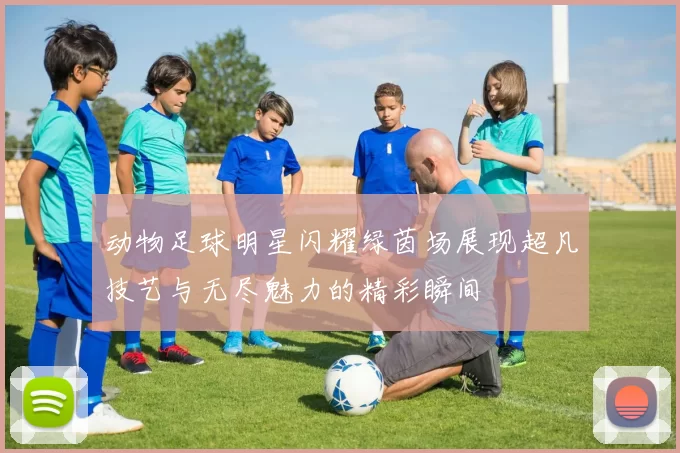 动物足球明星闪耀绿茵场展现超凡技艺与无尽魅力的精彩瞬间