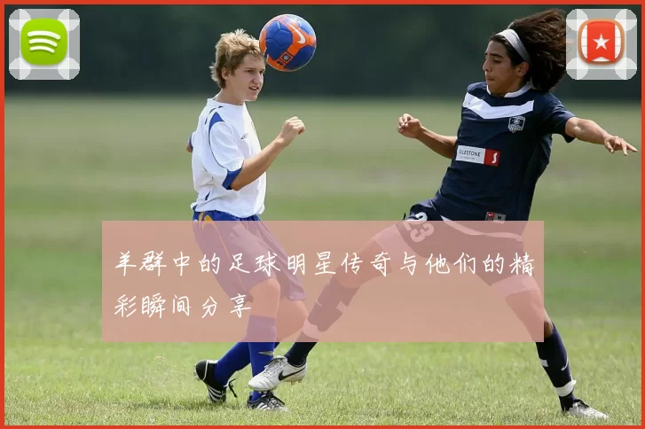 羊群中的足球明星传奇与他们的精彩瞬间分享