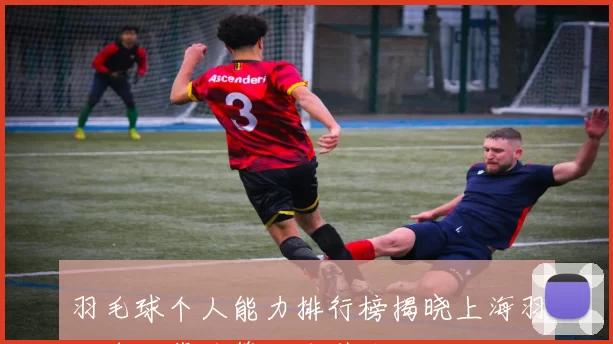 羽毛球个人能力排行榜揭晓上海羽毛球队荣登第八名引关注