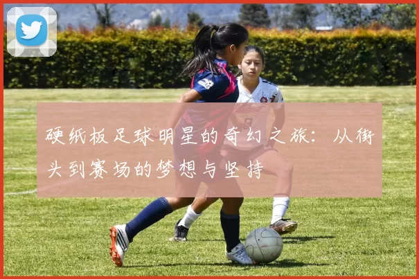 硬纸板足球明星的奇幻之旅：从街头到赛场的梦想与坚持