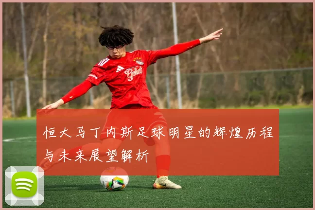 恒大马丁内斯足球明星的辉煌历程与未来展望解析