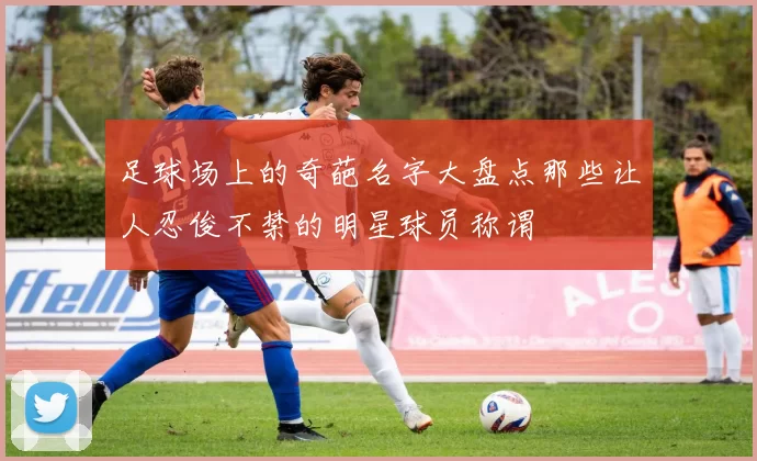 足球场上的奇葩名字大盘点那些让人忍俊不禁的明星球员称谓