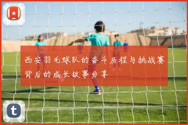 西安羽毛球队的奋斗历程与挑战赛背后的成长故事分享