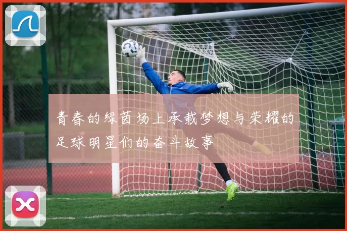 青春的绿茵场上承载梦想与荣耀的足球明星们的奋斗故事