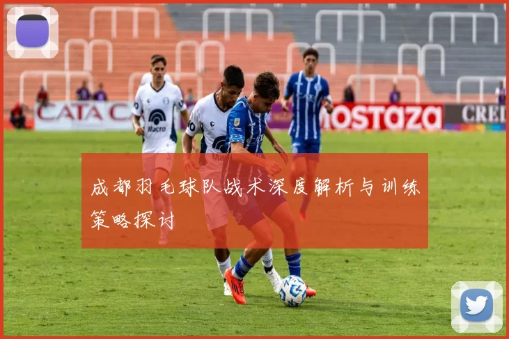 成都羽毛球队战术深度解析与训练策略探讨