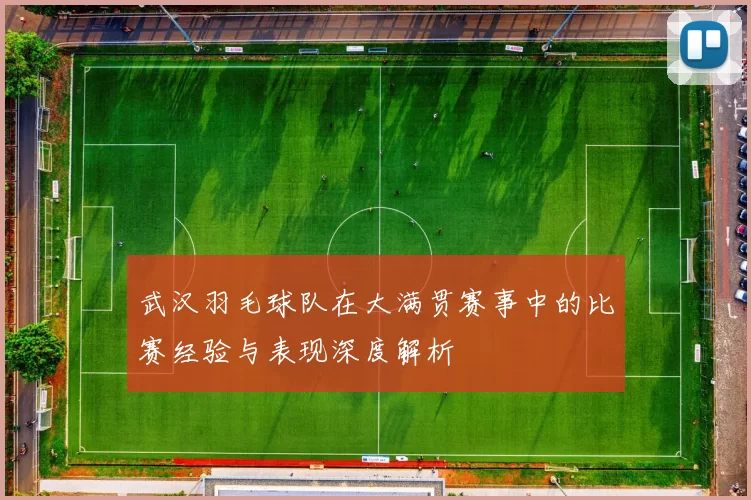 武汉羽毛球队在大满贯赛事中的比赛经验与表现深度解析