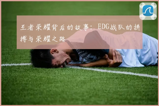 王者荣耀背后的故事：EDG战队的拼搏与荣耀之路