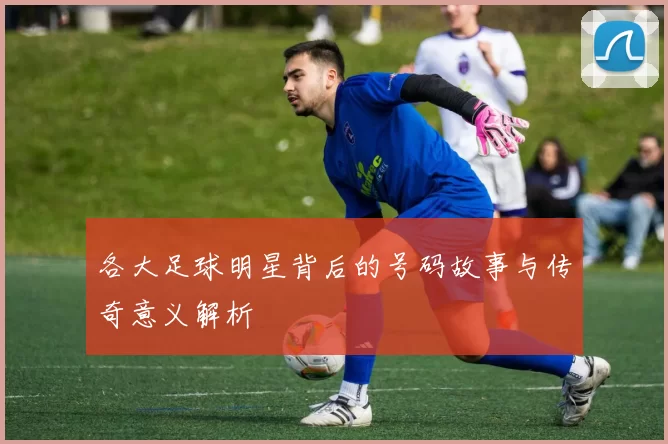 各大足球明星背后的号码故事与传奇意义解析