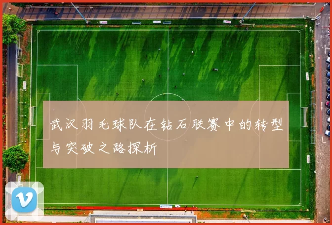 武汉羽毛球队在钻石联赛中的转型与突破之路探析