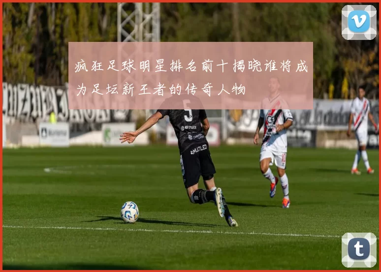 疯狂足球明星排名前十揭晓谁将成为足坛新王者的传奇人物