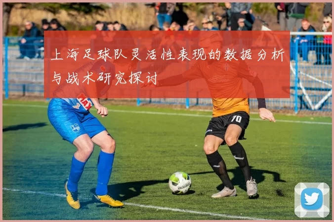 上海足球队灵活性表现的数据分析与战术研究探讨