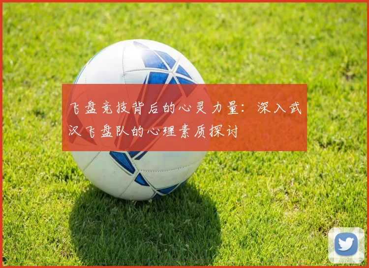 飞盘竞技背后的心灵力量：深入武汉飞盘队的心理素质探讨