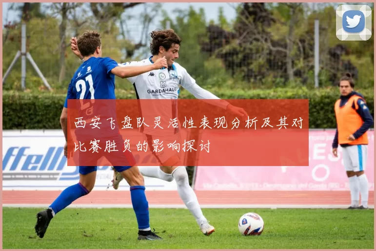 西安飞盘队灵活性表现分析及其对比赛胜负的影响探讨