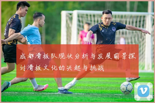 成都滑板队现状分析与发展前景探讨滑板文化的兴起与挑战