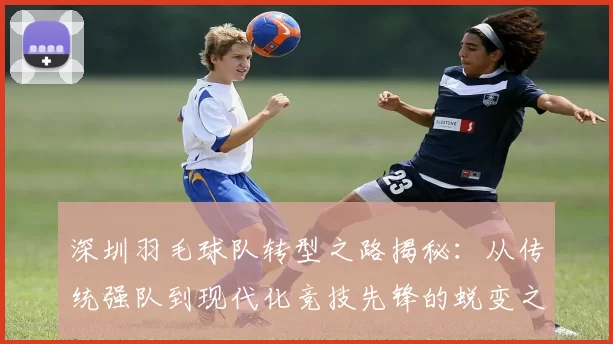 深圳羽毛球队转型之路揭秘：从传统强队到现代化竞技先锋的蜕变之旅